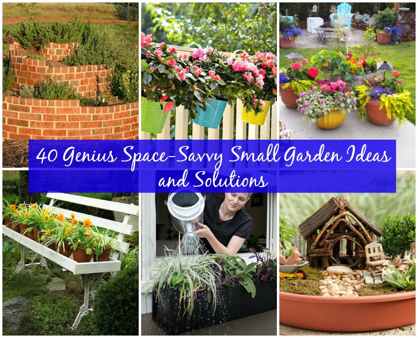  -Savvy Small Garden Ideas and Solutions - Page 2 of 4 - DIY &amp; Crafts