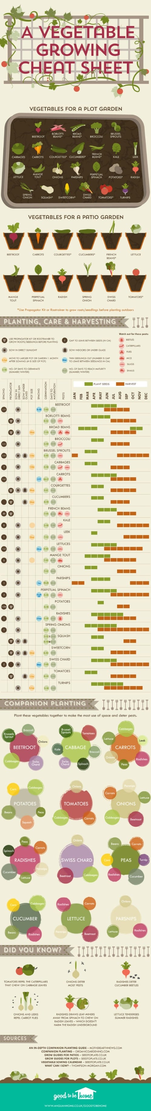 Check out this amazing vegetable growing cheat sheet.