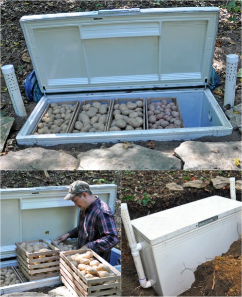 Bury a freezer to preserve vegetables.