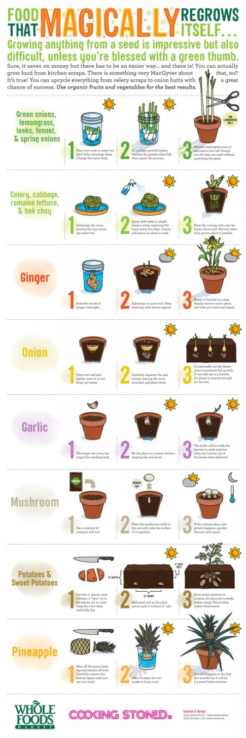 Grow food from kitchen scraps.