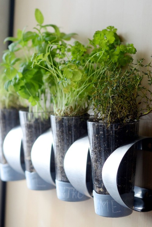 Turn a wine bottle holder into a wall planter.