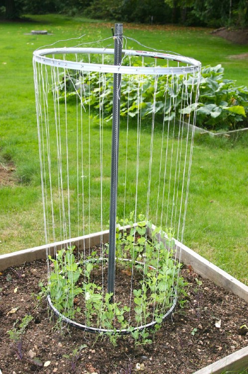 Make a unique, round garden trellis.