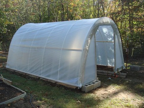 Build a real, working greenhouse for just $50.