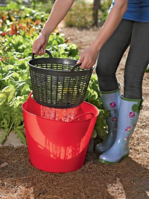 Reuse water in your garden.