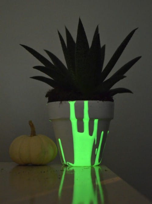 Make your planters glow in the dark.