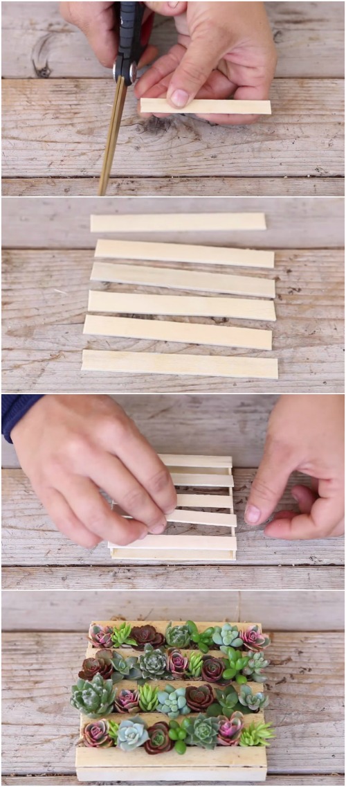 make-the-cutest-succulent-mini-pallet-ever-out-of-popsicle-sticks-diy