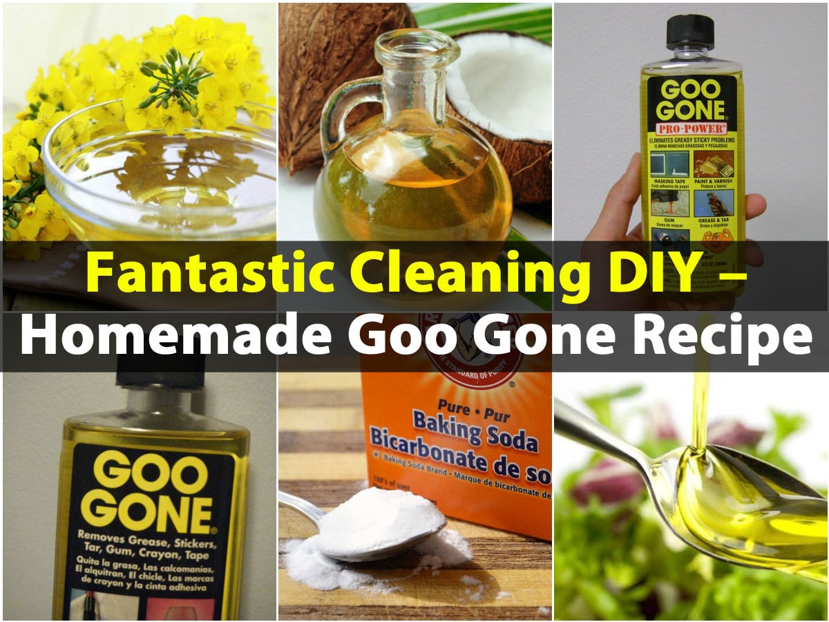 Fantastic Cleaning DIY Homemade Goo Gone Recipe DIY & Crafts