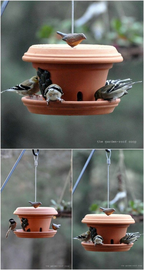 Bird Feeder