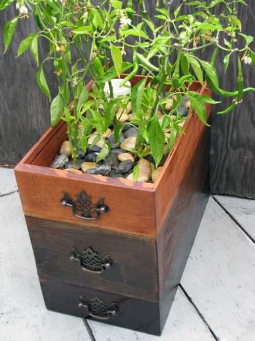 Porta Plantas