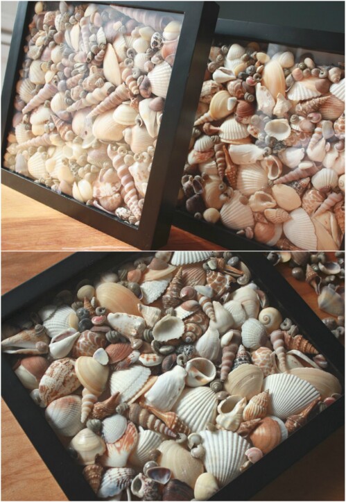 20 Fabulous Beach Worthy Projects to Create from Seashells 