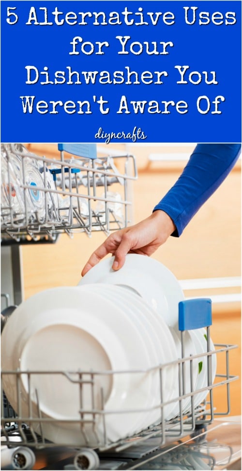 5 Alternative Uses for Your Dishwasher You Weren't Aware Of DIY & Crafts