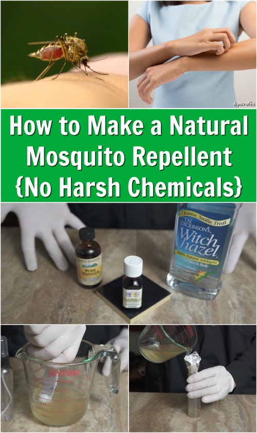 How to Make a Natural Mosquito Repellent {No Harsh ...