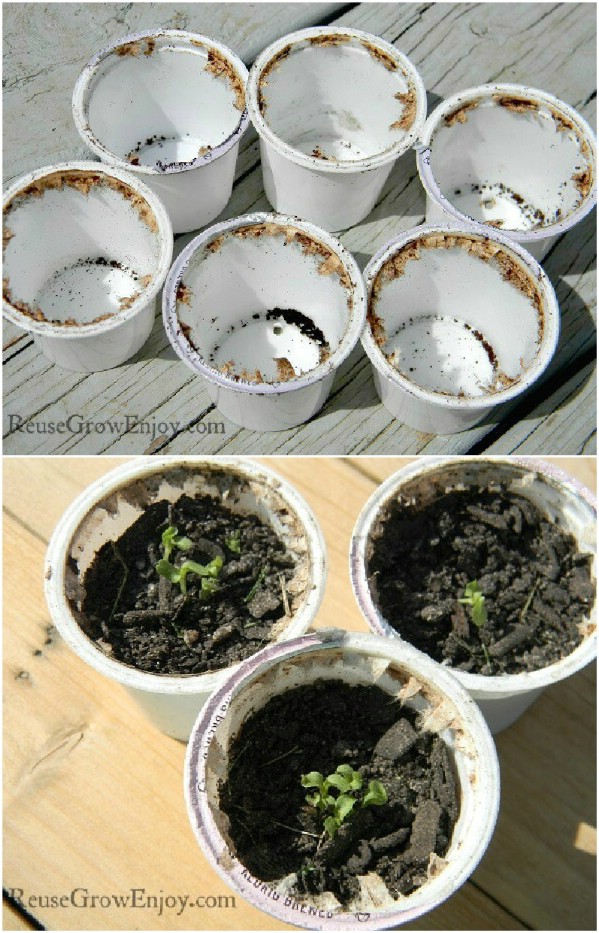 20 Upcycled Seed Starter Pots You Can Easily Make At Home ...