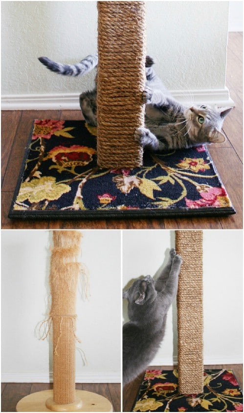 diy cat scratching post carpet