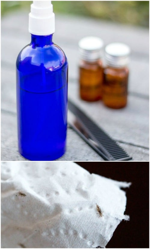 15 DIY Essential Oil Sprays for Your Wellness and a Happy Home