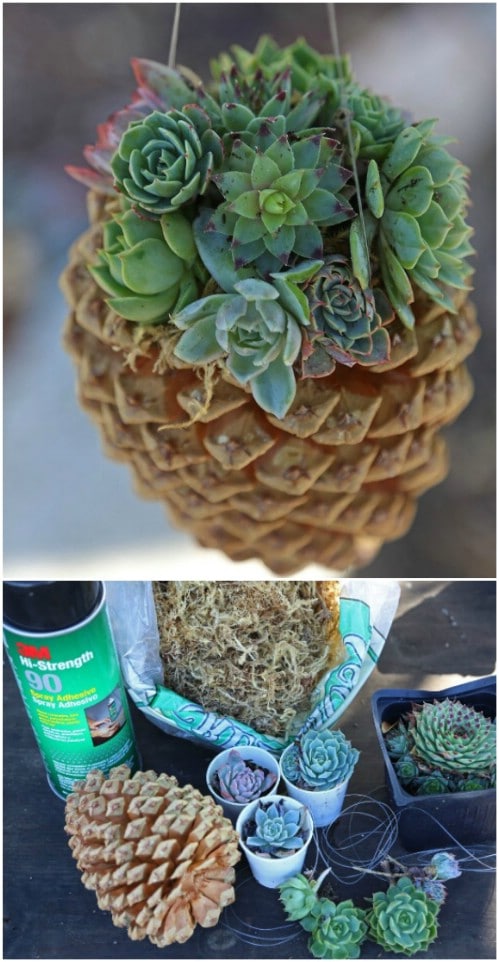 15 Rustic DIY Pinecone Home Decor Projects