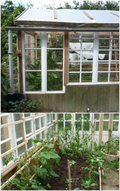 20 Free DIY Greenhouse Plans You’ll Want To Make Right Away - DIY & Crafts