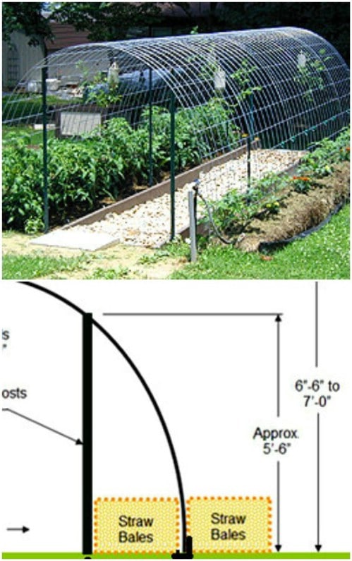 25+ [ Cattle Panel Greenhouse Plans Further Pvc Hoop 