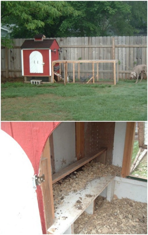 20 Free DIY Chicken Coop Plans You Can Build This Weekend ...