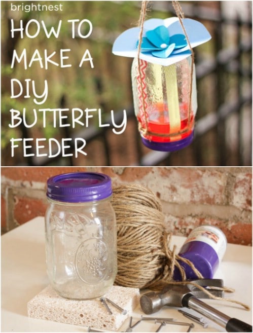 homemade butterfly feeder