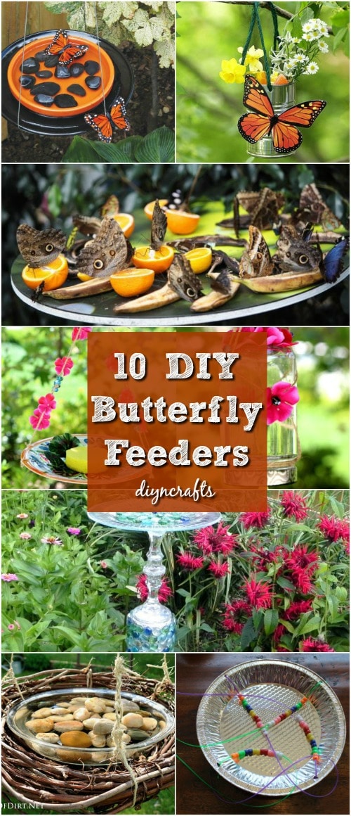 10-diy-butterfly-feeders-that-will-add-beauty-and-butterflies-to-your