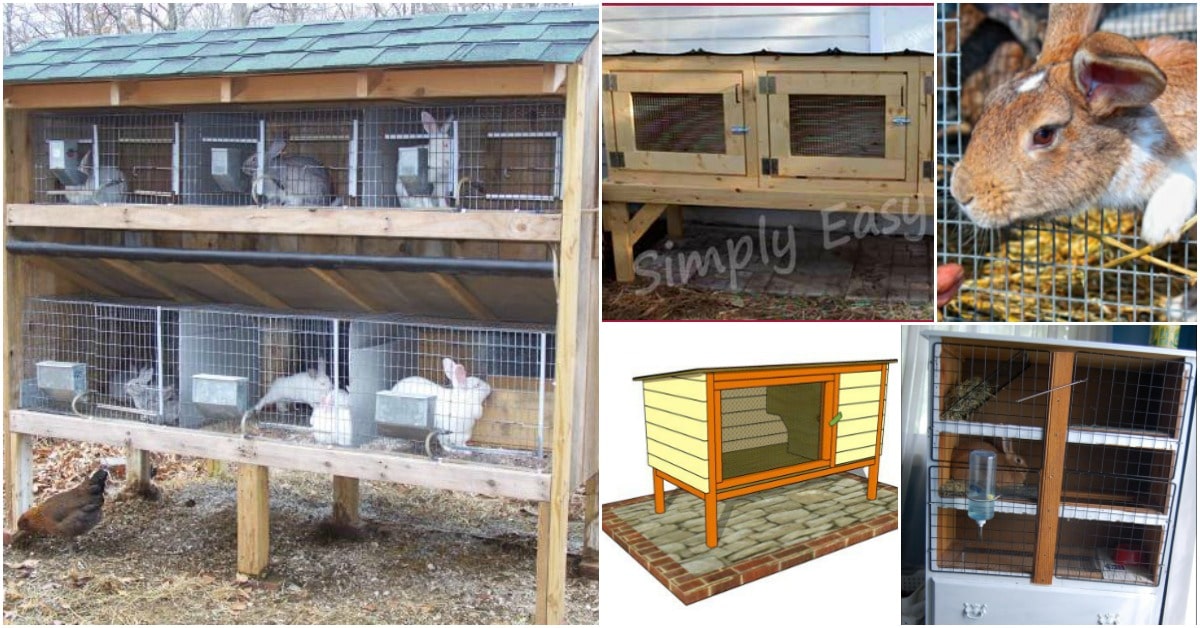 10 Free DIY Rabbit Hutch Plans That Make Raising Bunnies Easy DIY Crafts