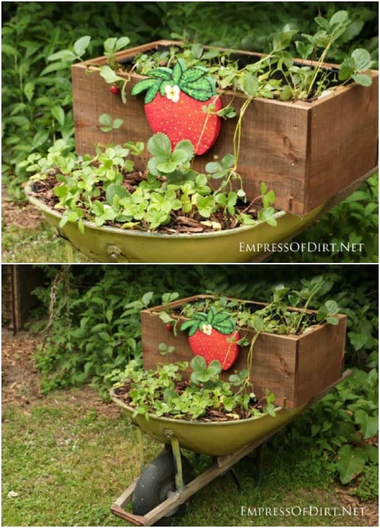 15 DIY Wheelbarrow Repurposing Ideas