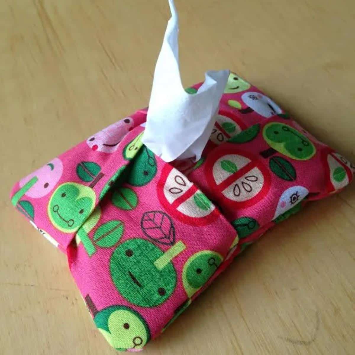 DIY Kleenex Holder